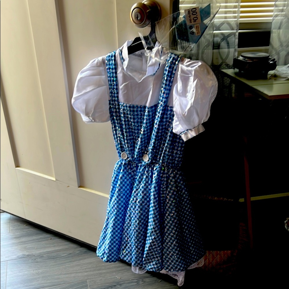 Blue and White Checkered Dress with Suspenders